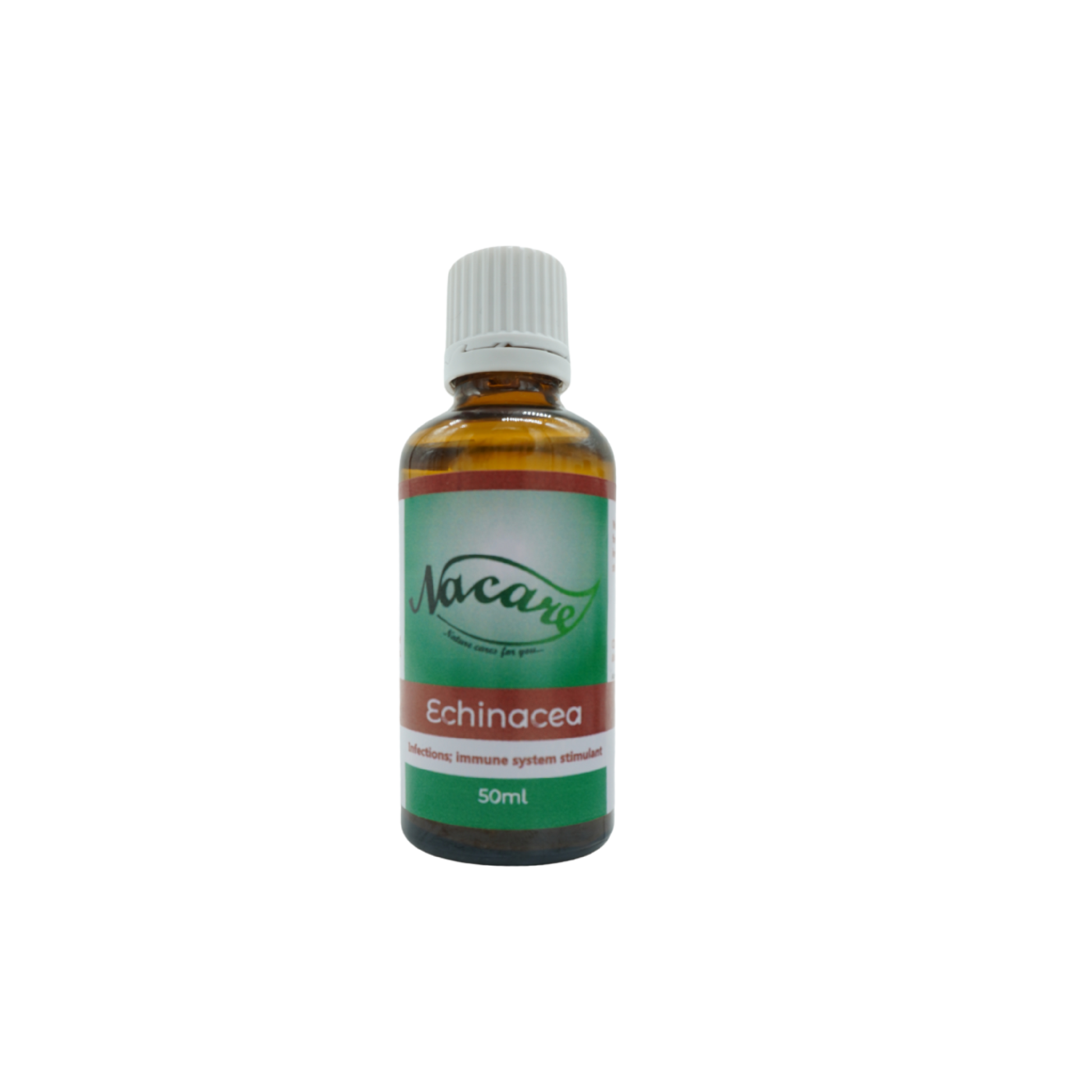 Echinacea