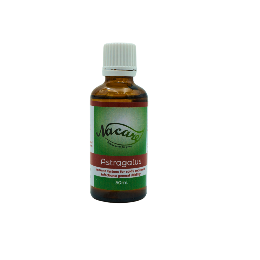 Astragalus