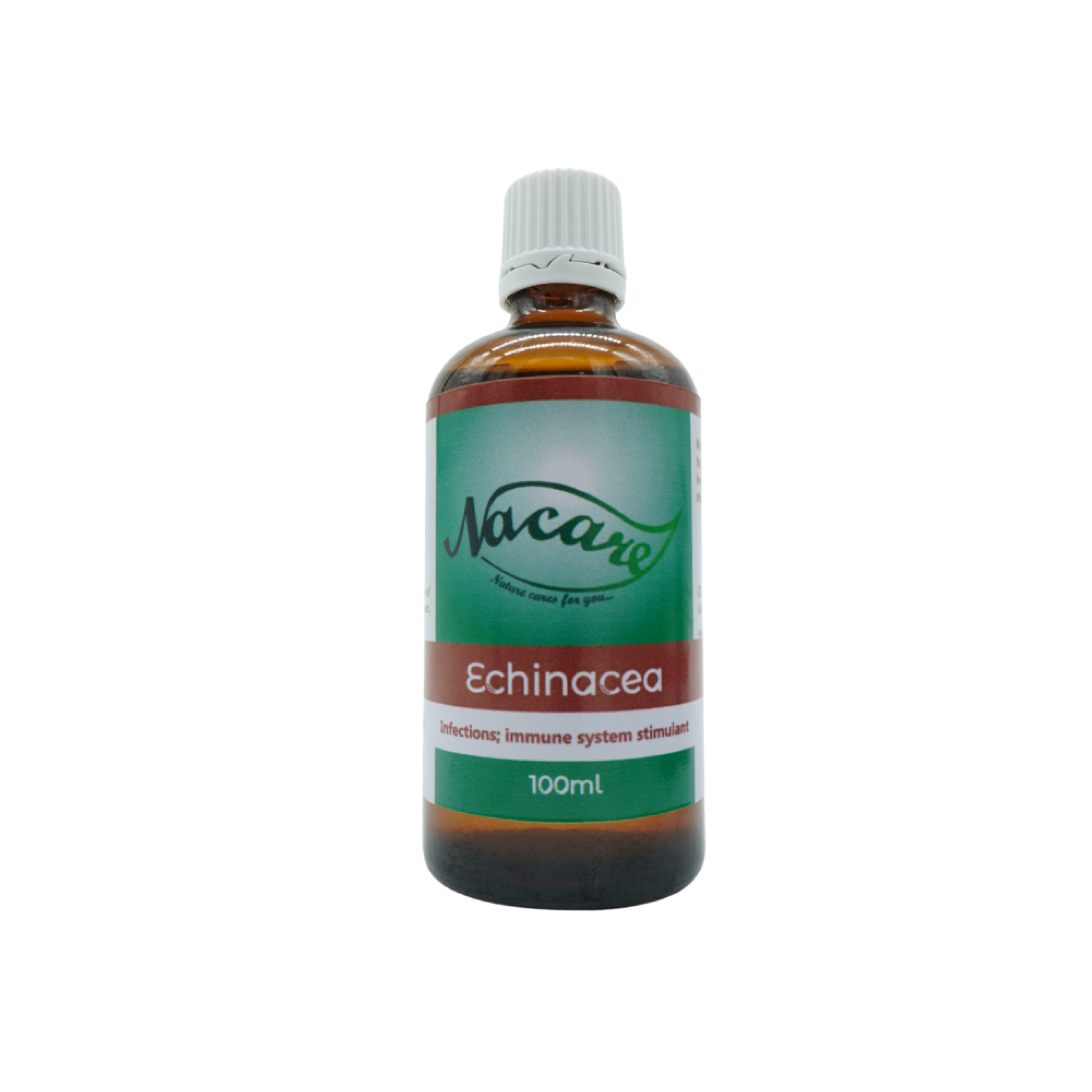 Echinacea