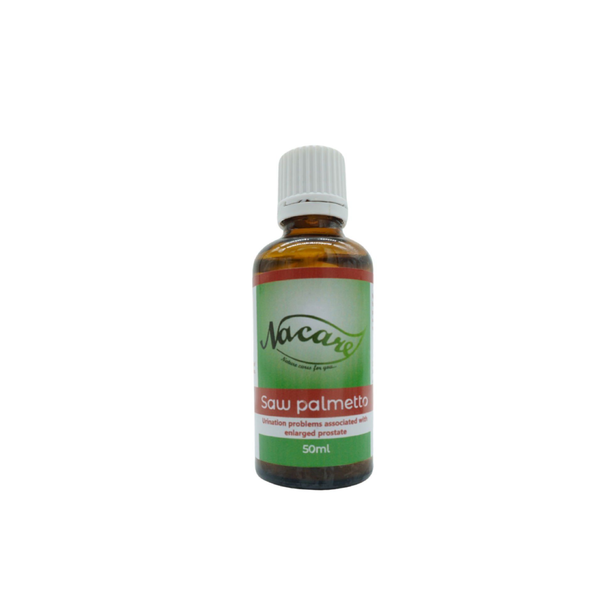 Saw Palmetto