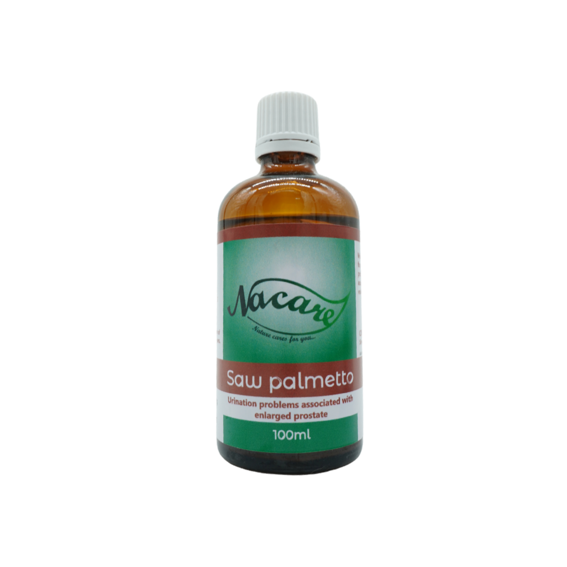 Saw Palmetto